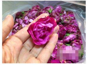 娱乐吃瓜酱玫瑰